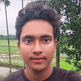 Bultan Ray