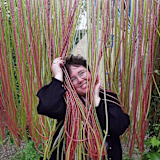 Niamh MacMaster