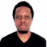 Nnamdi Ofili