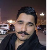 Muhammad Awais Ali  Raja