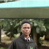Adeniyi  Ayeni