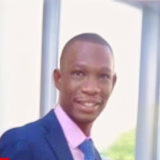 Adedapo  Ajayi 