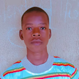 Adebisi Ridwan