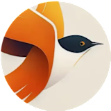 Swiftly logo