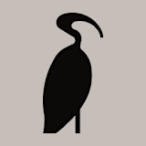 Studio Mauro logo