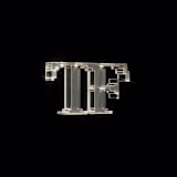 Trueform LLC logo