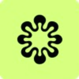 Tom Brackley Design logo