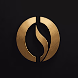 orillusive logo