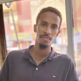 Ammar Mohamed