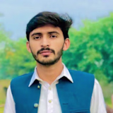zeeshan saeed