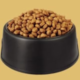 Dogfooding Test Company logo