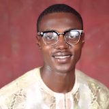 Michael Akinwumi