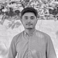 Ameer avatar