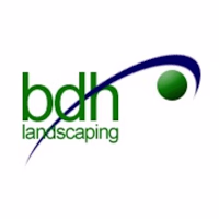 BDH avatar