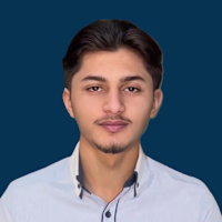 Mian M Jahanzaib 