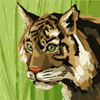 Sayed Mohammad avatar
