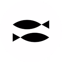 Anchovies Agency