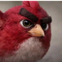 Karen avatar