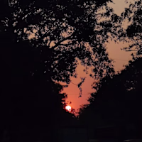 Kabir Panchal