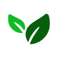 Silicon avatar