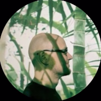 Rokas avatar