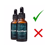 AudiFort US
