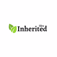 inheritedidea avatar