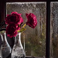 Hamzeh Moaine 