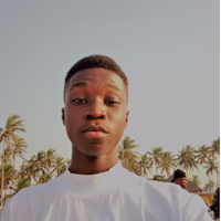 Favour Kingsley