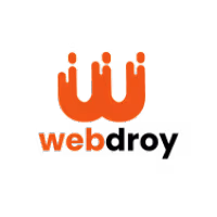 webdroy Solutions avatar