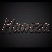 Ch Hamza  Saleem 