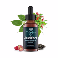 Audifort   Full Breakdown
