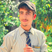 wordpress avatar