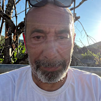 Daniel avatar