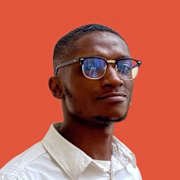Chidiebere Ogu