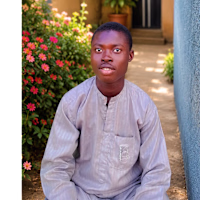 SHA'AIBU AUWAL 