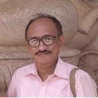 Partha Pratim Dhar