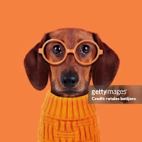 Matt avatar