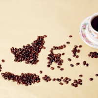 Biji Coffee89