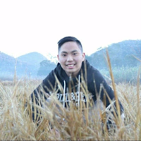 Vincentius Dwi P