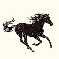 Aniketh avatar