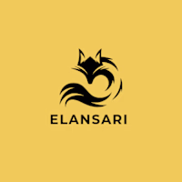 M'barek Elansari