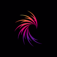 Falcon Studio