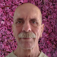 Curtis Ray