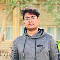 Muhammad Ahmed Siyal