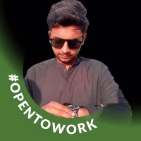 SYED HUSSAIN