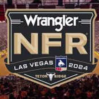 fsaf avatar