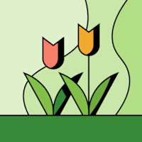 Sinenhlanhla avatar