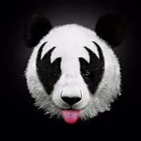 Stack Dev
