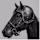 BlackHorseMedia logo